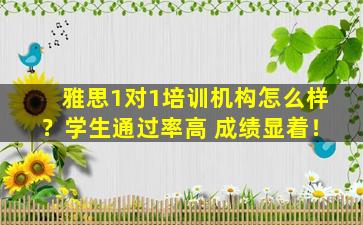 雅思1对1培训机构怎么样？学生通过率高 成绩显着！